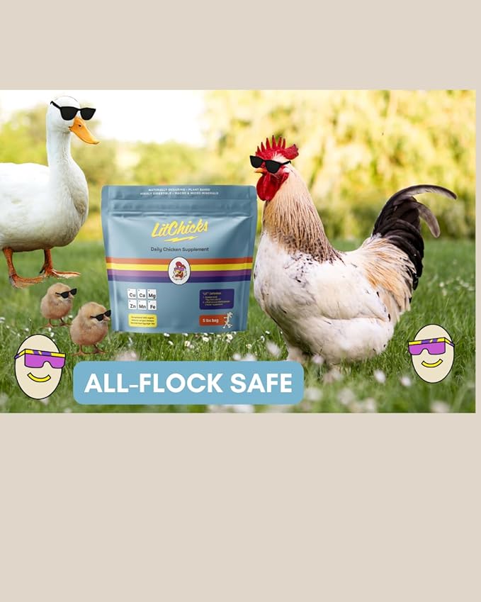 LitChicks’ Calcified Seaweed for Laying Chickens - Crushed Oyster Shell Alternative - Highly Digestible - Single Ingredient - Helps with Egg Laying &amp; Flock Health.