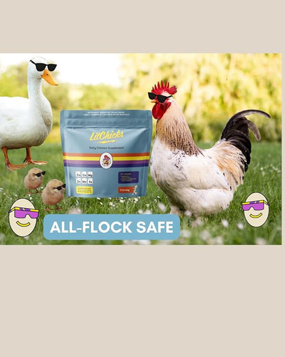 LitChicks’ Calcified Seaweed for Laying Chickens - Crushed Oyster Shell Alternative - Highly Digestible - Single Ingredient - Helps with Egg Laying &amp; Flock Health. (5lbs)