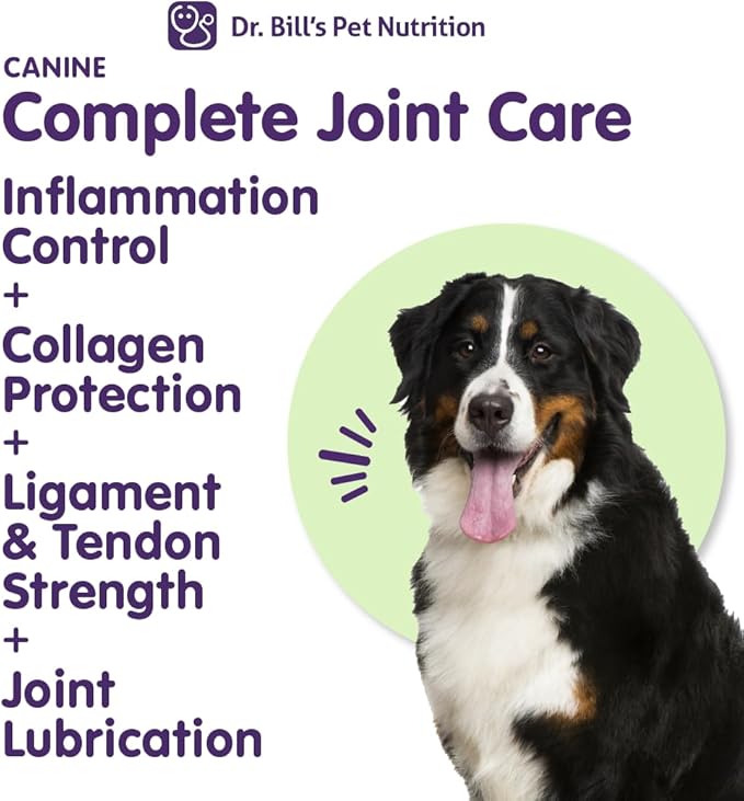 Dr. Bill’s Canine Complete Joint Care – Hip &amp; Joint Supplement for Dogs for Mobility, Muscle Support &amp; Inflammation Relief – Green Lipped Mussel, Chondroitin, Collagen, Omega-3 – Powder, 340g