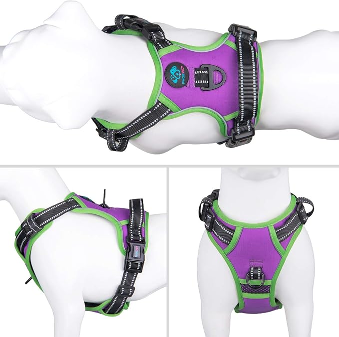 PHOEPET 2019 No Pull Dog Harnesses for Small Dogs Reflective Adjustable Front Clip Vest with Handle 2 Metal Rings 3 Buckles [Easy to Put on &amp; Take Off](XS, Purple)