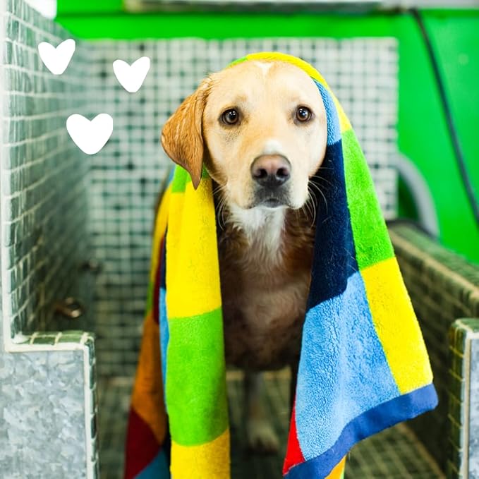 earthbath, Oatmeal &amp; Aloe Dog Shampoo - Oatmeal Shampoo for Dogs, Itchy, Dry Skin Relief, Dog Wash, Made in USA, Cruelty Free, Fragrance Free Pet Shampoos - 128 Oz (1 Pack)