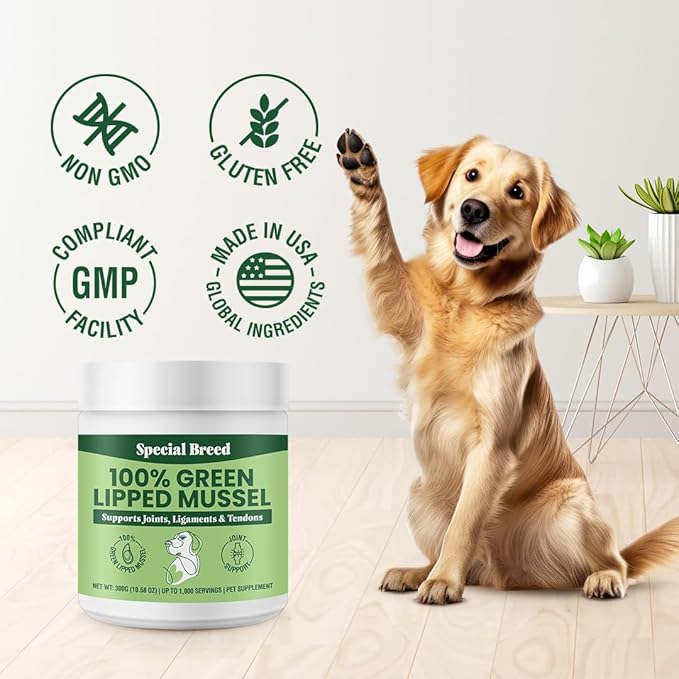 Green Lipped Mussel Powder for Dogs &amp; Cats - 100% New Zealand Green Lipped Mussels - Natural Hip &amp; Joint Supplement for Joints, Tendons, Ligaments, Muscles - 300 Grams - Up to 1,000 Servings