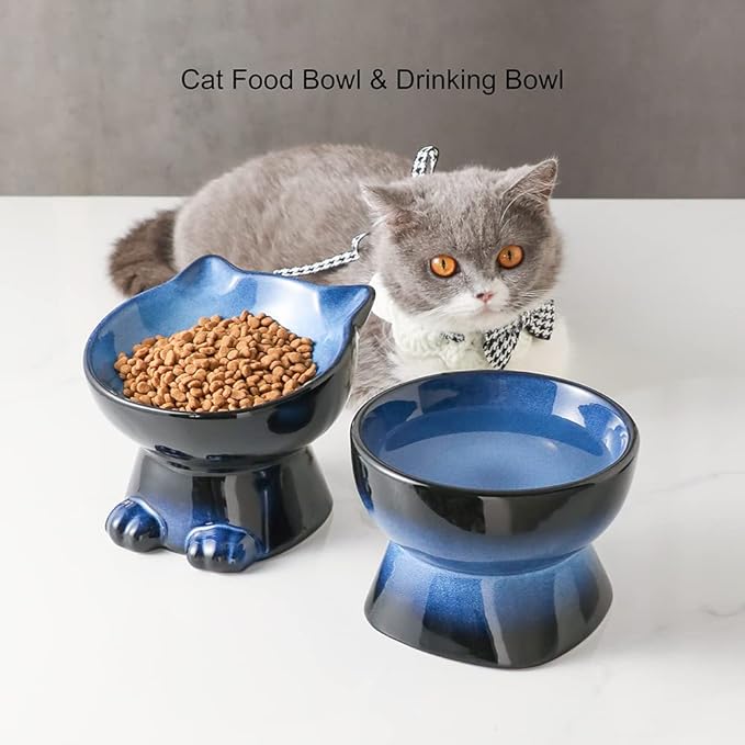 Nihow Elevated Cat/Dog Bowls Set : 6.2 Inch Ceramic Raised Cat Food &amp; Water Bowl Set for Protecting Pet&
