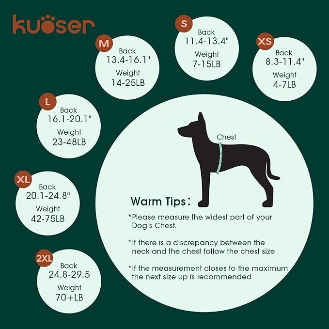 Kuoser Recovery Suit for Dogs Cats After Surgery, Professional Pet Recovery Shirt Dog Abdominal Wounds Bandages, Substitute E-Collar &amp; Cone,Prevent Licking Dog Onesies Pet Surgery Recovery Suit