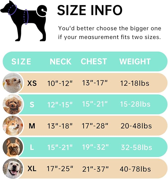 IVY&amp;LANE No Pull Dog Harness with Leash Set, Reflective No Choke Pet Vest,Adjustable Oxford Dog Vest Harness with Easy Control Handle for Large Dogs (Turquoise,XL)