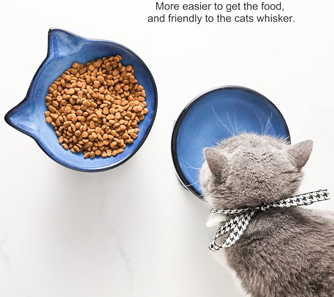 Nihow Elevated Cat/Dog Bowls Set : 6.2 Inch Ceramic Raised Cat Food &amp; Water Bowl Set for Protecting Pet&