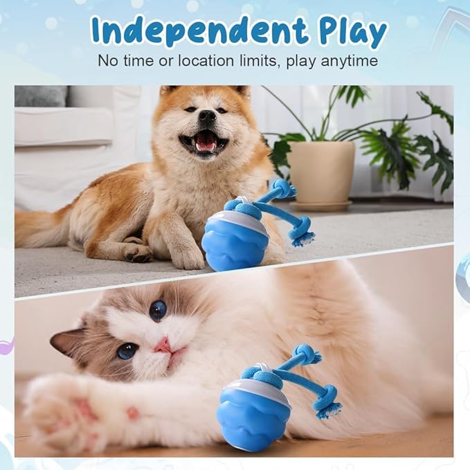 2026 New Interactive Pet Toy Ball, Smart Interactive Toy Ball for Cats &amp; Dogs, Electric Rolling Pet Toy Ball, Rechargeable Interactive Cat Toys for Bored Indoor Cats Kittens to Keep Busy (Blue)