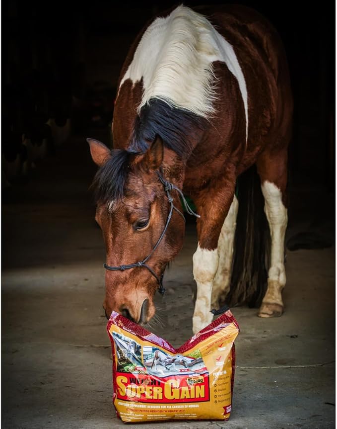 Super Weight Gain 24 lb, Equine Vitamin Mineral, Probiotic &amp; Weight Gain Supplement