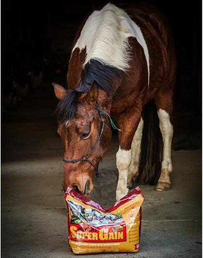 Super Weight Gain 24 lb, Equine Vitamin Mineral, Probiotic &amp; Weight Gain Supplement