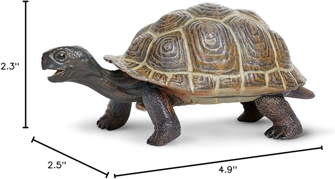 Safari Ltd. Tortoise Baby Figurine - Detailed 5.5" Plastic Model Figure - Fun Educational Play Toy for Boys, Girls &amp; Kids Ages 18M+