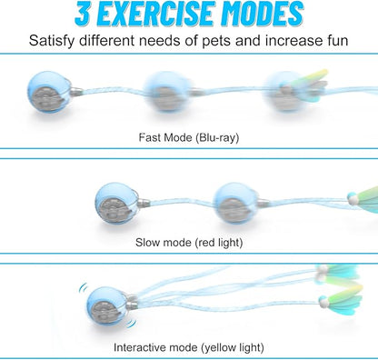 Interactive Cat Toy Ball for Indoor Cats with Mesh Tail &amp; Foils, Automatic Rolling Three Modes Agile Moving Cat Ball to Keep Them Busy Rechargeable, Blue