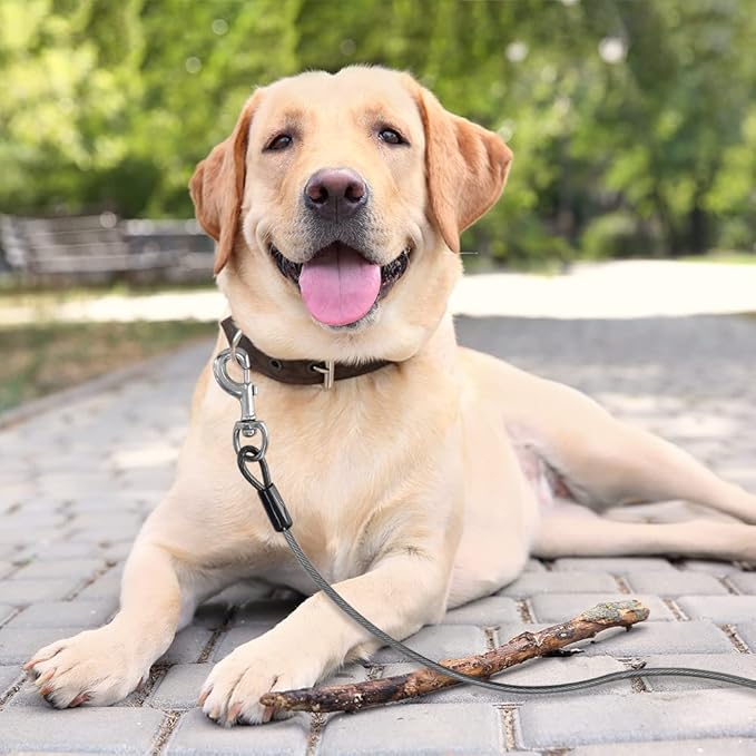 BV Dog Tie Out Cable 25 Feet - Heavy Duty Dog Lead Up to 250 Pounds - Reflective &amp; Rust-Free with Quick Release Swivel Clips &amp; 360° Rotating Clasp - Tangle-Free Dogs Runner for Yard (Grey, Single)