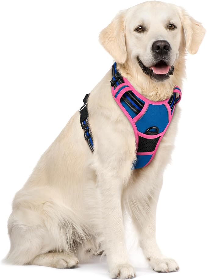 rabbitgoo Dog Harness No Pull with 2 Leash Clips, Adjustable Soft Padded, Reflective Oxford No Choke Pet Vest with Easy Control Handle for Large Dogs, Blue &amp; Hot Pink, XL