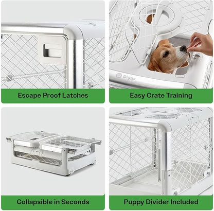 DIGGS Revol Collapsible Dog Crate with Wheels - Premium Portable Dog Crate - Safe, Stylish, and Convenient Indoor Kennel (Ash, Medium)