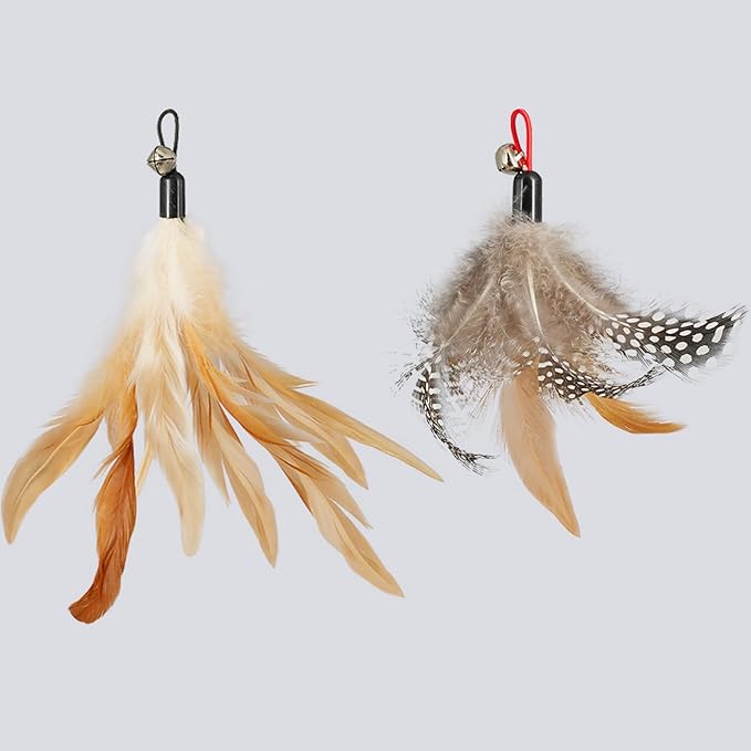 ROSAUI Cat Toy Refill Set – 6 Replacement Attachments for Teaser Wands, Includes 5 Feather Heads &amp; 1 Lifelike Bird, Bell-Equipped, Interactive Accessories for Indoor Cats