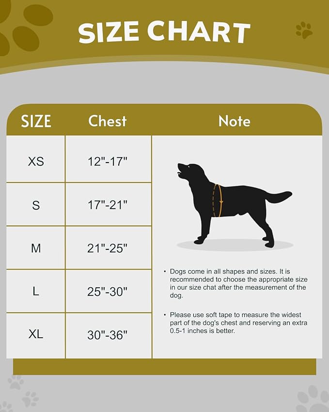 MIDOG No-Pull Dog Harness | Adjustable &amp; Reflective Pet Harness Leash Set for Small Medium Large Dogs Walking, Training| No Choke, Front Clip, Soft Padded Vest with Easy Control Handle - Purple, M