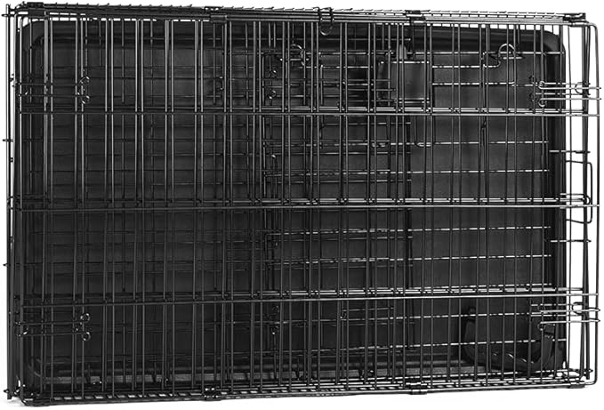 Amazon Basics Durable, Foldable, Collapsible, Portable Metal Wire Dog Crate with Tray, Single Door with Divider Panel, Easy to Assemble &amp; Clean, 36 x 23 x 25 in, Black
