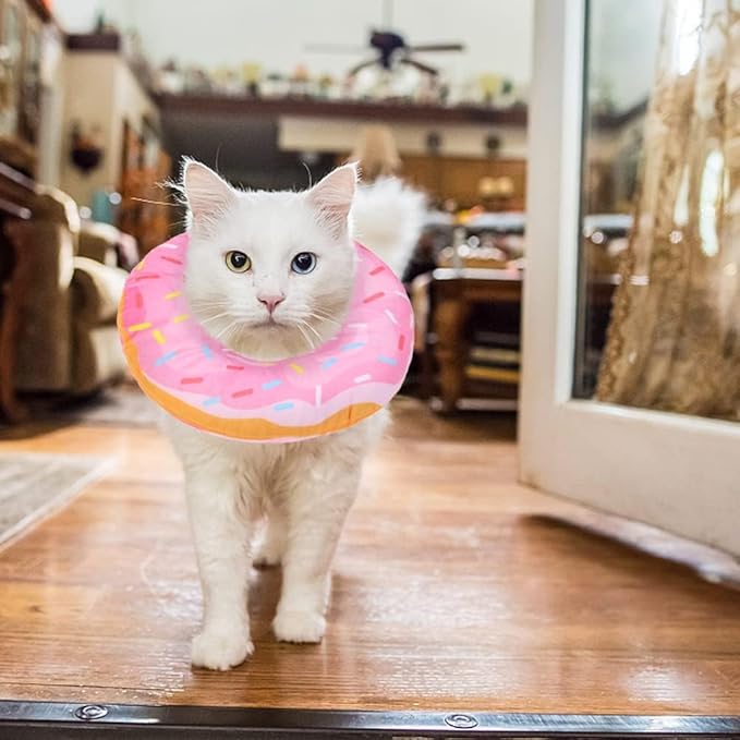 BINGPET Soft Donut Cat &amp; Small Dog Recovery Collar, Adjustable Protective Pet Cone After Surgery