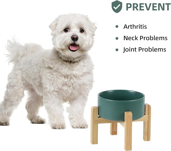 Ceramic Raised Dog and Cat Bowl Set, 2 Heights Elevated Stand, Food and Water Bowl for Small Breed Dogs, Weighted Dog Dishes, Pet Bowl(6.1&