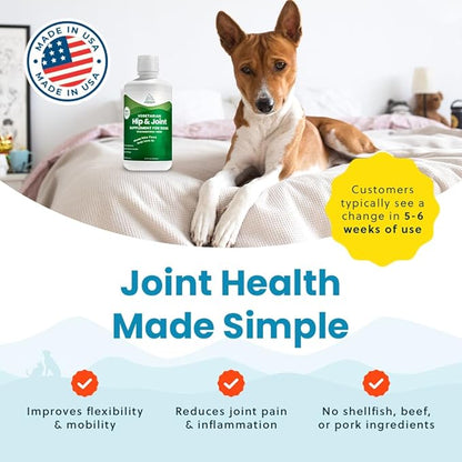 Plant-Based Liquid Glucosamine for Dogs, 1600mg Joint Support with Chondroitin, MSM &amp; Omega 3-6-9, Shellfish-Free Dog Arthritis Supplement for Mobility &amp; Flexibility, Made in USA, 32 oz