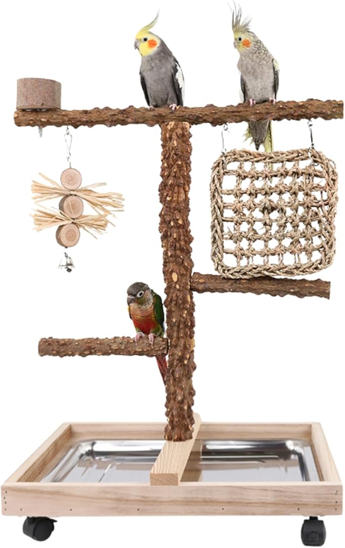 Natural Wood Parrot Stand - Ideal Toy &amp; Accessory for Parakeets, Canaries, Cockatiels, Conure, Lovebirds - Bird Perch Stand with Removable Tray Climbing Net Chewing Toys- Perfect Pet Birds Playstand