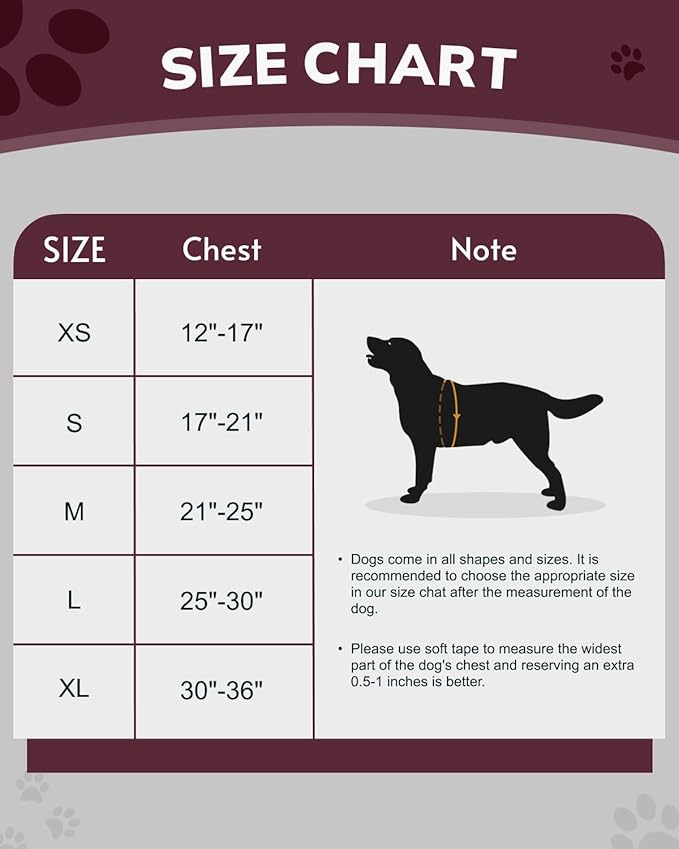 MIDOG No-Pull Dog Harness | Adjustable &amp; Reflective Pet Harness Leash Set for Small Medium Large Dogs Walking, Training| No Choke, Front Clip, Soft Padded Vest with Easy Control Handle - Pink, M