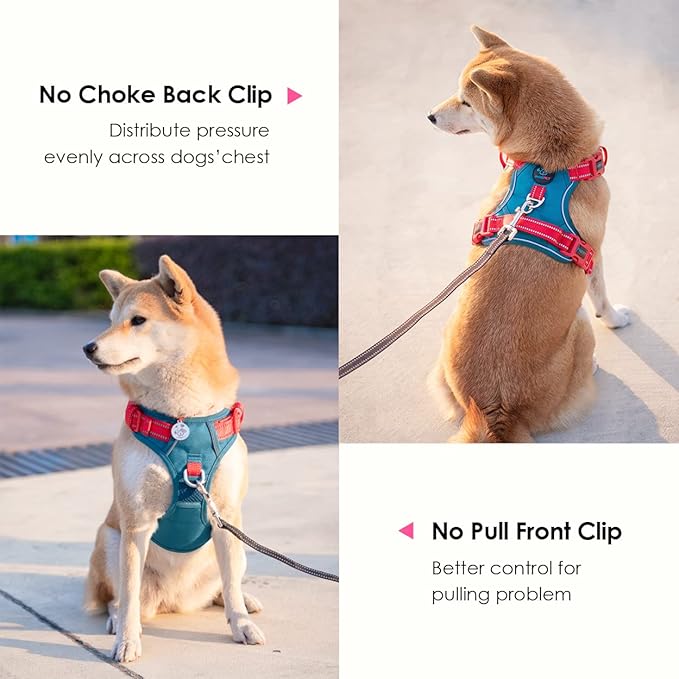 PHOEPET No Pull Dog Harness, Unique Colors Reflective Adjustable Dog Vest, with Soft Training Handle Metal Clips for Small Medium Large Dogs (Teal Base &amp; Red Straps,XS)
