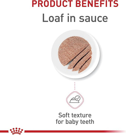 Royal Canin Feline Health Nutrition Kitten Loaf in Sauce Canned Cat Food, 3 oz can (Pack of 24)