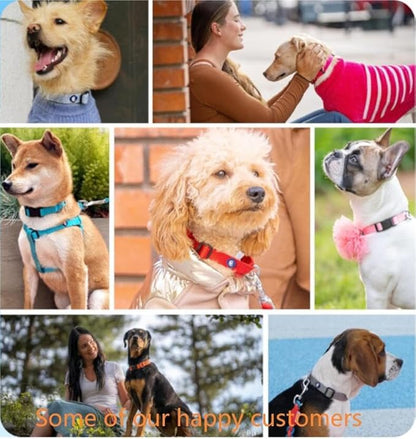 Blueberry Pet Dog Collar for Large Dogs | Adjustable, Comfortable, Stylish &amp; Sturdy | Essentials Dog Collars for Small Dogs | High-Density Nylon with Eco-Friendly Buckles &amp; Steel D-Ring