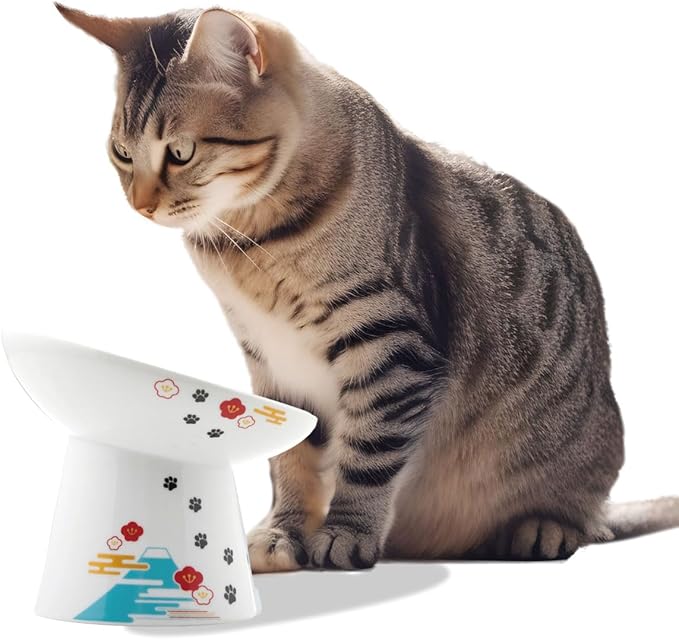 Necoichi Extra Wide Raised Cat Food Bowl, Elevated, Prevent Neck &amp; Whisker Fatigue, Dishwasher and Microwave Safe, No.1 Seller in Japan! (Fuji, Extra Wide Tilted)