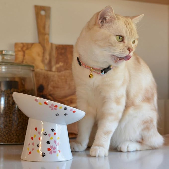 Necoichi Extra Wide Raised Cat Food Bowl, Elevated Cat Bowls to Prevent Neck &amp; Whisker Fatigue, Dishwasher and Microwave Safe, No.1 Seller in Japan! (Sakura Limited Edition, Extra Wide Tilted)