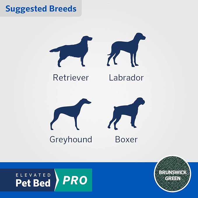 Coolaroo Pro Elevated Dog Bed - Low-Profile Access, Moisture-Resistant Cover, Breathable Fabric &amp; Tool-Free Setup, Brunswick Green, Standard