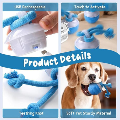 2026 New Interactive Pet Toy Ball, Smart Interactive Toy Ball for Cats &amp; Dogs, Electric Rolling Pet Toy Ball, Rechargeable Interactive Cat Toys for Bored Indoor Cats Kittens to Keep Busy (Blue)