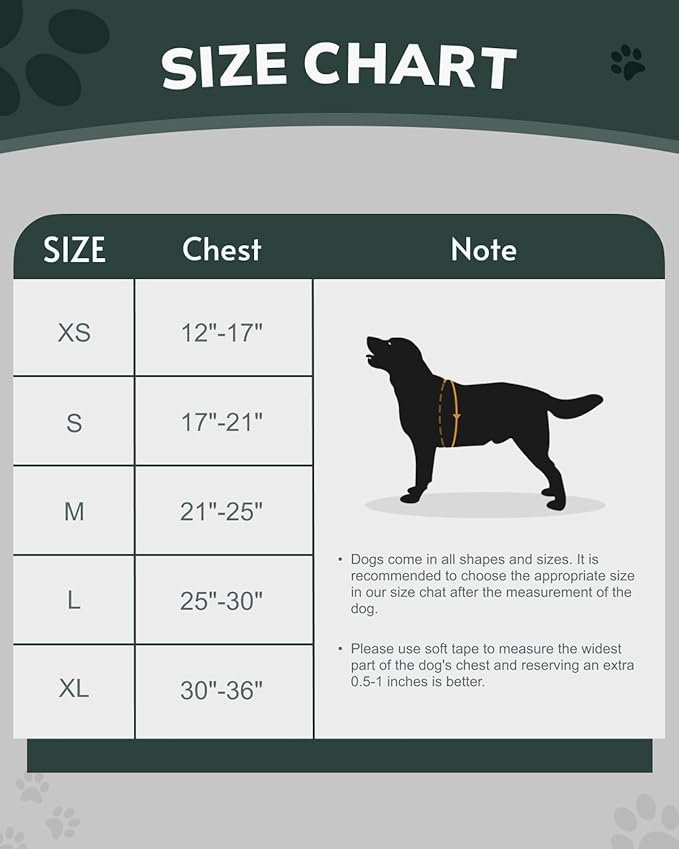 MIDOG No-Pull Dog Harness | Adjustable &amp; Reflective Pet Harness Leash Set for Small Medium Large Dogs Walking, Training| No Choke, Front Clip, Soft Padded Vest with Easy Control Handle - Green, XL