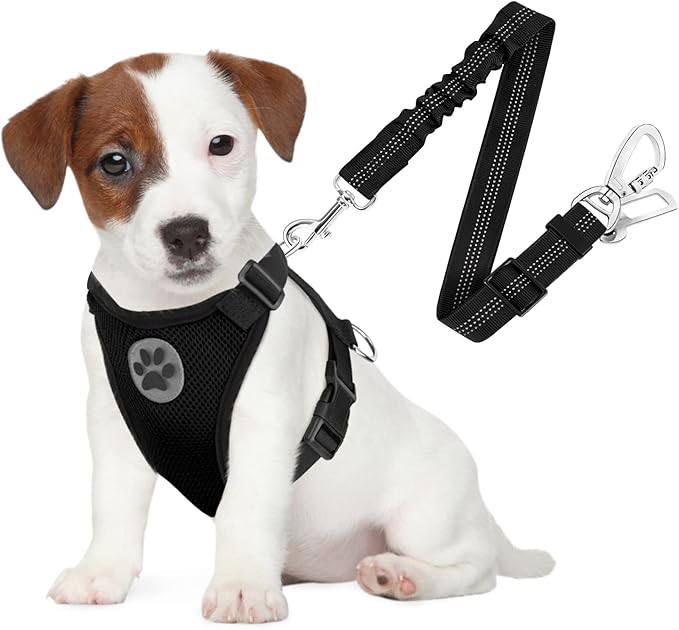 SlowTon Dog Seat Belt Harness for Car, Dog Car Harness Adjustable Mesh Breathable &amp; Dog Seatbelt Safety Tether with Elastic Bungee for Small Medium Large Pets(Black, Double Clip, S)