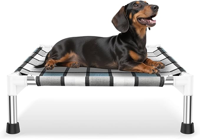 Elevated Outdoor Raised Dog Bed Outdoor Dogs Bed Lifted Pet Bed Dog Cot for Pet Taste Life, Start with A Pet Bed 20&