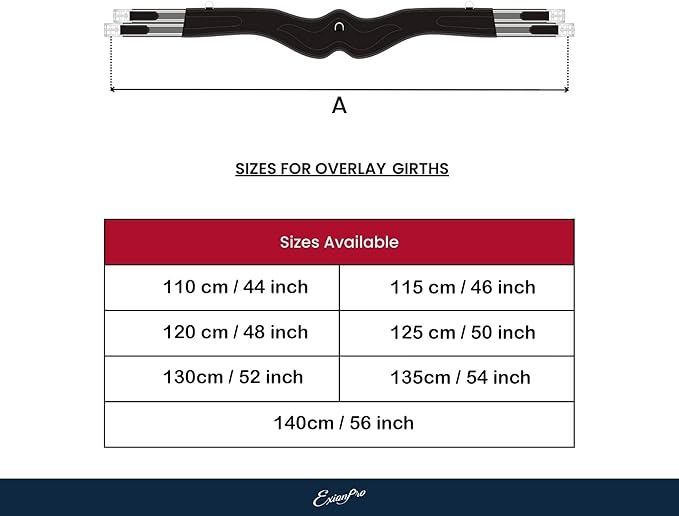 Exion Designer Anatomic Snap Over Lay Girth | Comfortable Leather Horse Girth for English Saddles | Jumping &amp; Riding