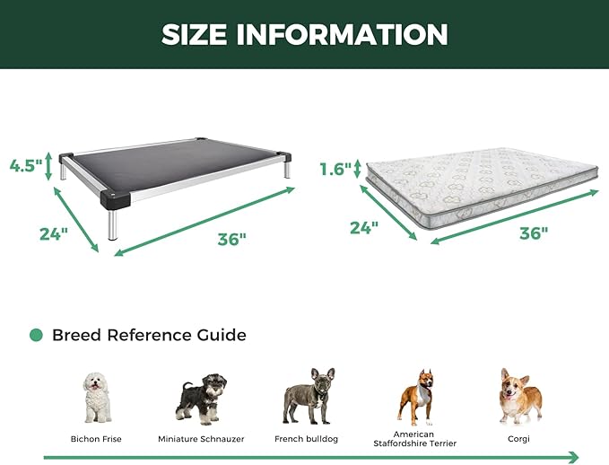 FXW TitanNest Chew-Proof Elevated Dog Bed, Raised Cot for Indoor/Outdoor/Camping Use, Durable &amp; Washable Padded Pet Bed with Exclusive Reuseable Cover for Small Dogs, 36.0" L x 24.0" W x 4.5" H, Gray