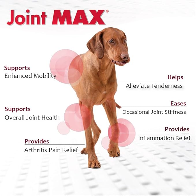TS Joint Supplement Vet Formulated Pain &amp; Inflammation Relief Treats Hip Dysplasia &amp; Arthritis, Glucosamine, Chondroitin, Turmeric, MSM, HA, Creatine, Omega 3 EPA + DHA. Granules 120 Doses