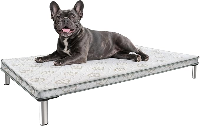 FXW TitanNest Chew-Proof Elevated Dog Bed, Raised Cot for Indoor/Outdoor/Camping Use, Durable &amp; Washable Padded Pet Bed with Exclusive Reuseable Cover for Small Dogs, 36.0" L x 24.0" W x 4.5" H, Gray