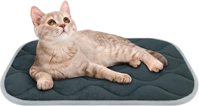 furrybaby Dog Bed Mat Flat Crate Mat with Anti-Slip Bottom Machine Washable Pet Kennel Pad for Dog Sleeping (XS 22x13&