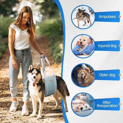 Dog Lift Harness for Medium Dogs - Adjustable Sling for Rear Legs, Hip Support for Canine Aid &amp; Cruciate Ligament Rehabilitation - Medium, Grey