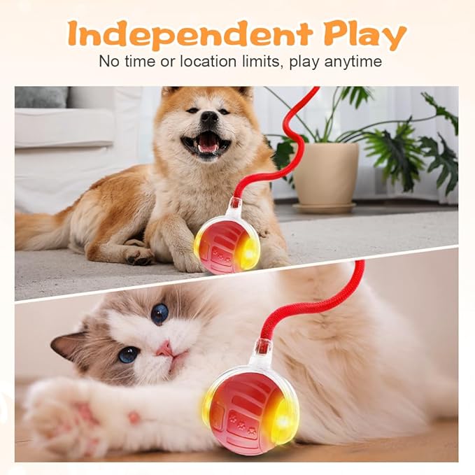 2026 New Interactive Pet Toy Ball, Smart Interactive Toy Ball for Cats &amp; Dogs, Electric Rolling Pet Toy Ball, Rechargeable Interactive Cat Toys for Bored Indoor Cats Kittens to Keep Busy (Red)