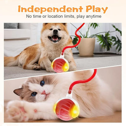 2026 New Interactive Pet Toy Ball, Smart Interactive Toy Ball for Cats &amp; Dogs, Electric Rolling Pet Toy Ball, Rechargeable Interactive Cat Toys for Bored Indoor Cats Kittens to Keep Busy (Red)