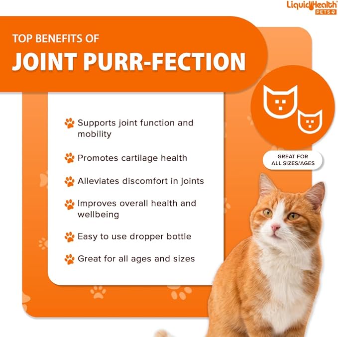 LIQUIDHEALTH Pets Liquid Cat Glucosamine Joint Purr-Fection - Hip &amp; Joint Health Relief Support, Chondroitin Feline Droppers for Senior Older Adult Cats &amp; Kittens - Made in The USA (2 Pack)