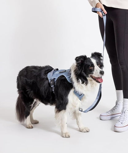 2025 New Edition, Fei &amp; Eve MagEase Dog Harness - 3-Second Magnetic Buckles | 3-Point No-Pull Control | Heavy-Duty 900D Nylon | Dual Safety Handles | Breathable Mesh | Adjustable Fit |Small, Blue