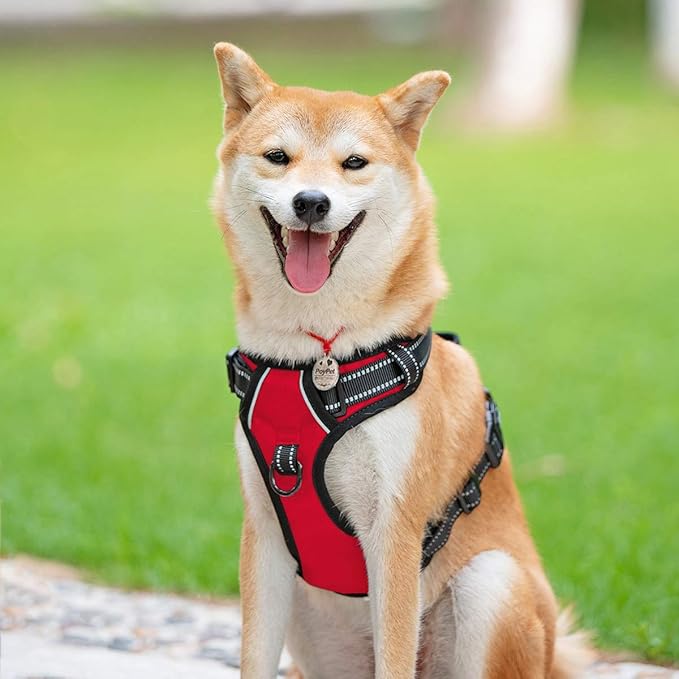 PoyPet No Pull Dog Harness, Reflective Comfortable Vest Harness with Front &amp; Back 2 Leash Attachments and Easy Control Handle Adjustable Soft Padded Pet Vest for Small to Large Dogs (Red,XS)