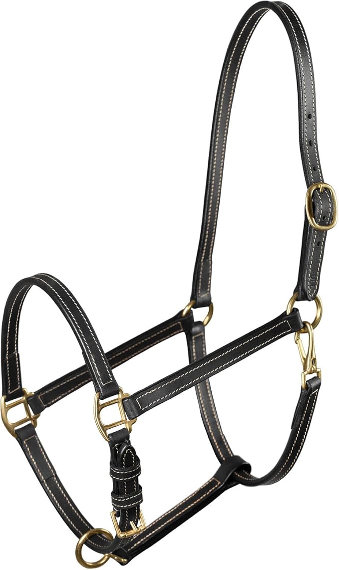 HORZE Fremont Soft Synthetic Leather Horse Halter | Fully Adjustable with Brass Hardware &amp; Contrast Stitching - Black - Shetland