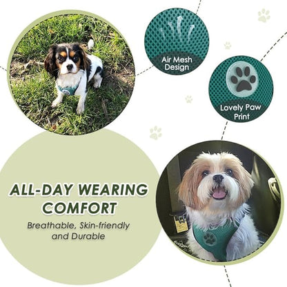 SlowTon Dog Seat Belt Harness for Car, Dog Car Harness Adjustable Mesh Breathable &amp; Dog Seatbelt Safety Tether with Elastic Bungee for Small Medium Large Pets(Green, Double Clip, XXXS)