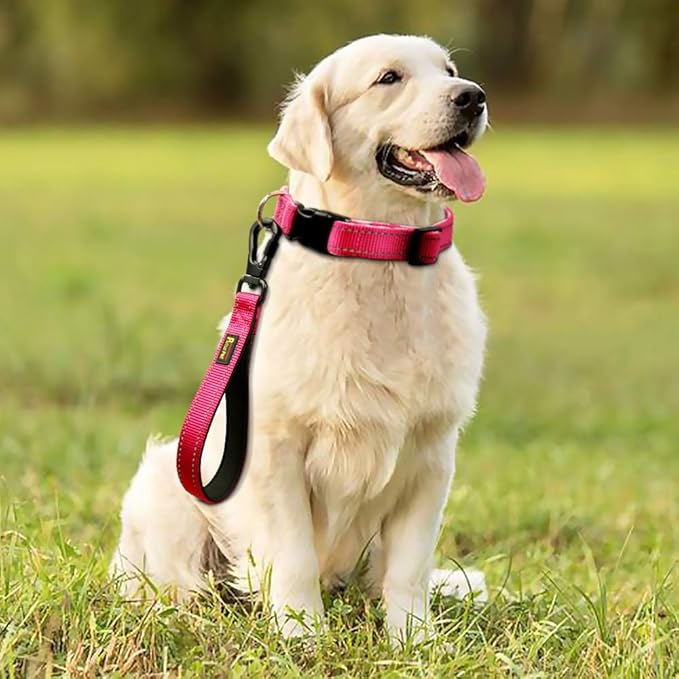 PLUTUS PET 10 Inch Short Dog Leash for Large Dogs with Locking Carabiner Clip &amp; Padded Handle （10”, Pink）